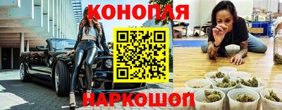 эйфоретик Кингисепп