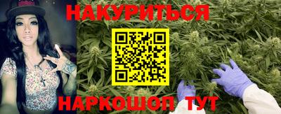 эйфоретик Кингисепп