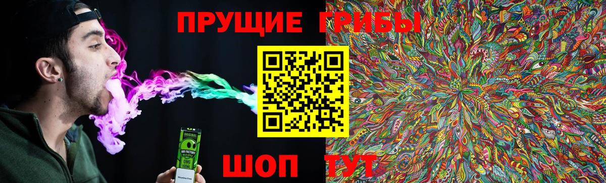 Касимов  Псилоцибиновые грибы MAGIC MUSHROOMS  Вход с VPN 