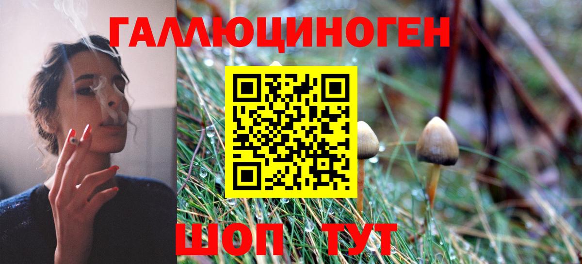 Галлюциногенные грибы MAGIC MUSHROOMS Касимов