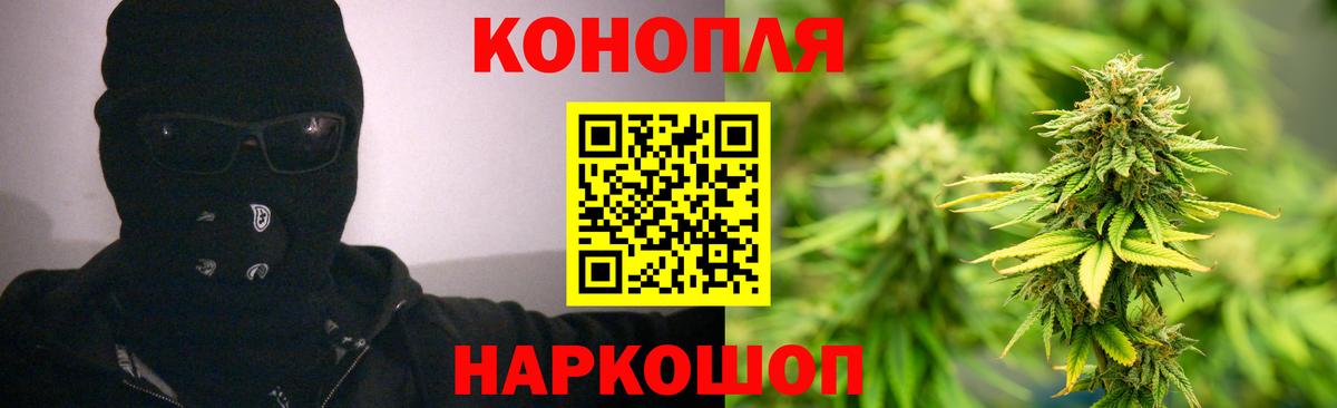 Бошки марихуана планчик  Бошки Шишки гибрид  Вход с VPN  Касимов 